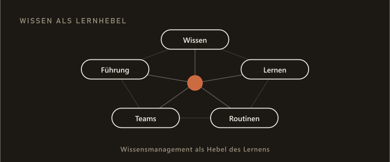 Wissen als Lernhebel: Netzknoten Wissen, Lernen, Routinen, Teams und Führung um einen zentralen Wissensmanagement-Kern.