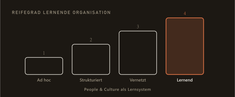 Reifegrad lernende Organisation — vier aufsteigende Stufen von Ad hoc über Strukturiert und Vernetzt bis zur lernenden Organisation, People & Culture als Lernsystem.
