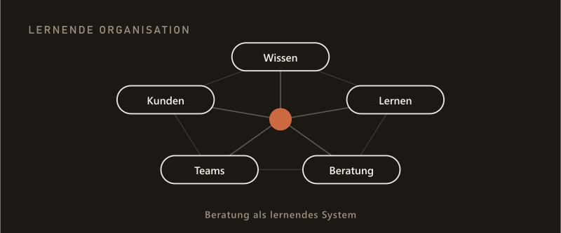 Netzwerkdiagramm: Wissen, Lernen, Beratung, Teams und Kunden um einen zentralen Knoten — Beratung als lernendes System