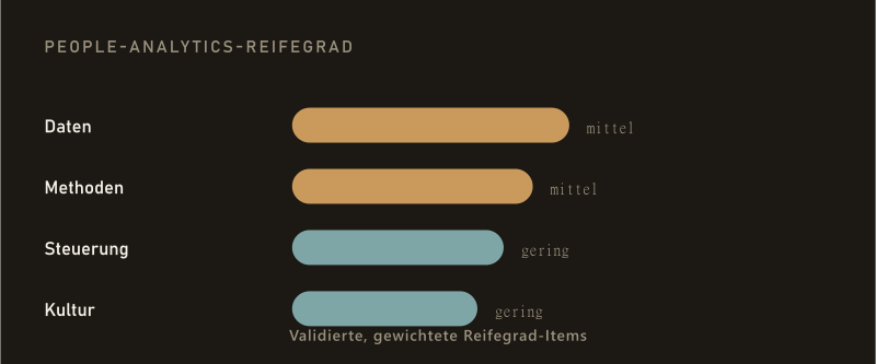 Reifegrad-Balken für People Analytics: Daten und Methoden mittel, Steuerung und Kultur gering — validierte, gewichtete Reifegrad-Items.